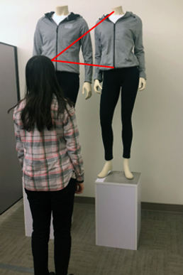 mannequin experiment.png